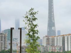 -小茶闲舍·观景商务茶馆(广州塔店)