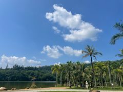 -深圳仙湖植物园