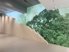 -极简口腔(总院)