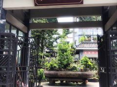-南山植物园
