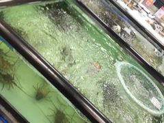 -盒马渔市餐厅
