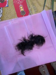 -小博士专业婴儿理发