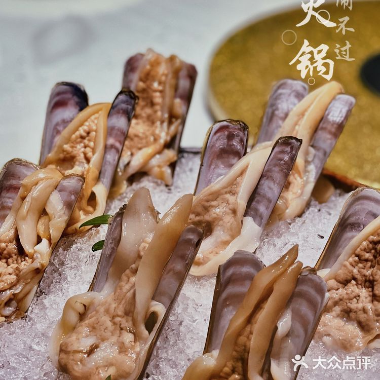 魔都超好吃的昆布河豚高端海鲜火锅