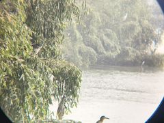 -芒洲湿地公园