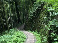 -莫干山风景区