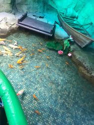 -酷嗒动物文化乐园(cutezoo西溪乐天城店)