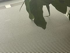 -震旦博物馆·A Cafe