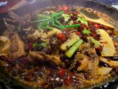 -老板恋上鱼(恒隆广场店)