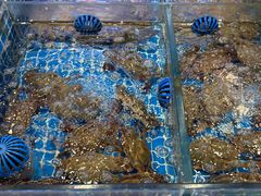 -木木鲜海鲜面(天一店)