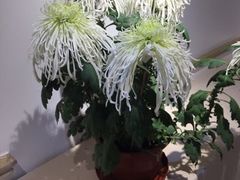 -汇龙潭