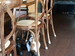 -猫岛主趣味餐厅(鼓浪屿店)