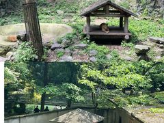 -杭州动物园