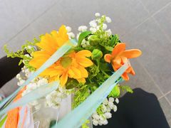 -溥仪眼镜PUYI OPTICAL(国贸商城店)