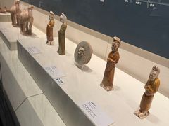 -隋唐大运河文化博物馆