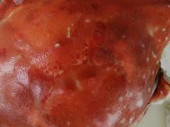 -百家福海鲜排档·闽菜·家宴(斗西路口店)