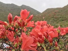 -广东天露山旅游度假区