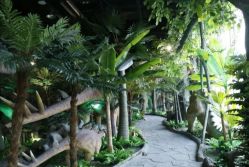 -恐龙探索乐园(磁器口店)