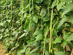 -顺风山庄(水濂山店)