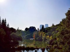 -云溪植物园