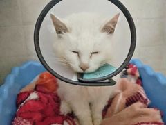 -畜牧兽医站(共江路店)