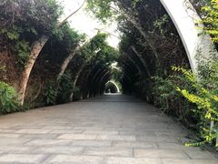 -天津东丽湖风景区