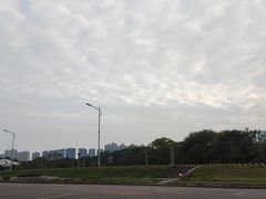 -王借岗森林公园