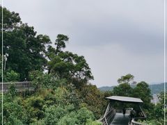 -福道