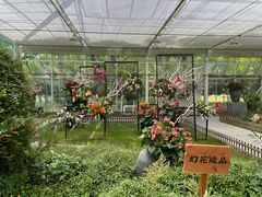 -上海鲜花港