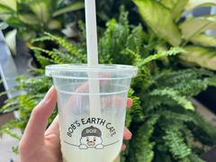 -抱抱地球咖啡馆(国家海洋博物馆店)