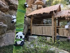 -深业半汤御泉庄温泉
