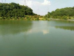 android_upload_pic-珍珠泉水上世界