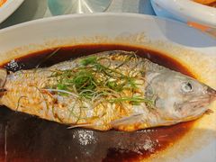 红蒸鲜鲥鱼-名豪品鲜荟(云亭店)