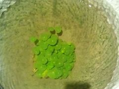 android_upload_pic-黔蘑菇四季餐厅(观山湖店)