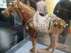 -衢州市博物馆