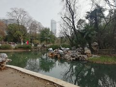 -鞠氏黑芝麻糊(水塔店)