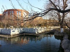 android_upload_pic-北京市海淀外国语实验学校