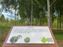 -东郊湿地公园