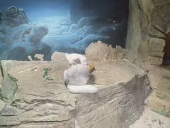 -zoonana室内动物园(东方福来德店)