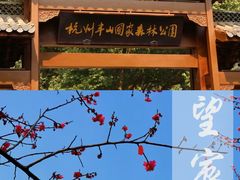 -杭州半山国家森林公园