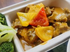 -雨林餐厅(长隆海洋王国店)