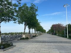 -伊犁河风景区