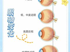 -上海和平眼科医院