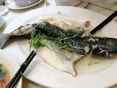 -稻香酒家·35年老字号(侨光店)