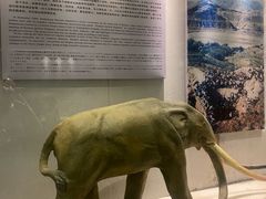 -白帝城·瞿塘峡景区