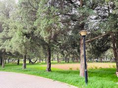 -西北农林科技大学(北校区)