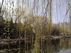 -满都海公园