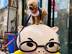 -猪的故事·韩式烤肉(韩乐坊店)
