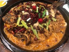 -老板恋上鱼(高新万达店)