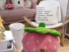 -Double Rui宠物酒店