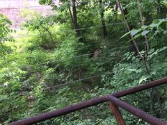 -哈尔滨北方森林动物园